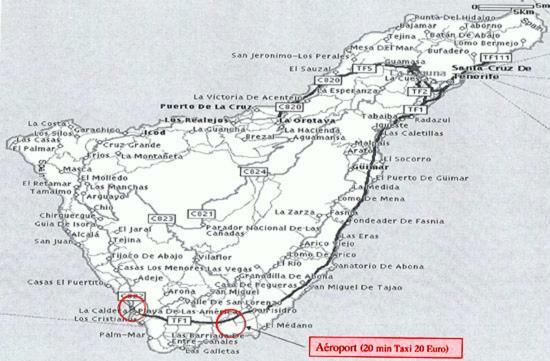 Las Terassas- Playa De Las Americas - Tenerife- Espagne Bagian luar foto